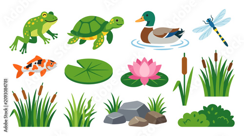 Pond Life Elements: Frog, Turtle, Koi Fish, Duck, Dragonfly, Lily Pad, Lotus