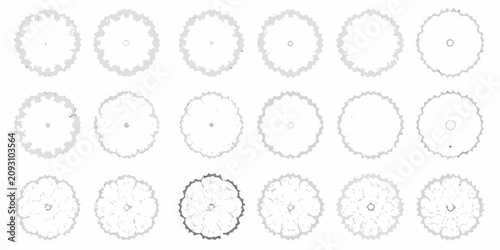 Foto collection of twelve top down tree plan views in grayscale vector view silhouett