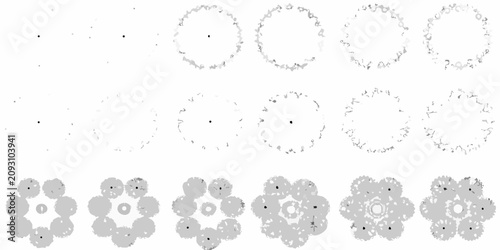 Foto tree canopy silhouettes on white background silhouette top down view forest natu