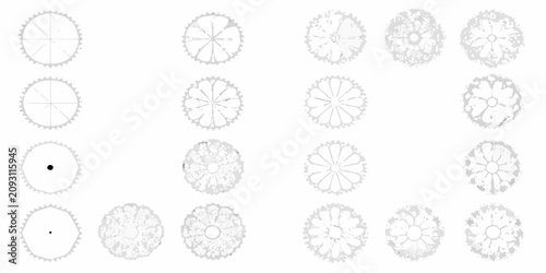 Fotografía collection of twelve top down tree plan views in grayscale view silhouette white