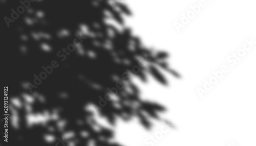 Leaves shadow overlay effect isolated on transparent background. Abstract tree leaf shadow overlay for creative design and photography.