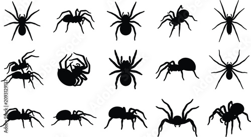 Εκτύπωση καμβά Halloween spider silhouettes collection diverse arachnid vector set for spooky d