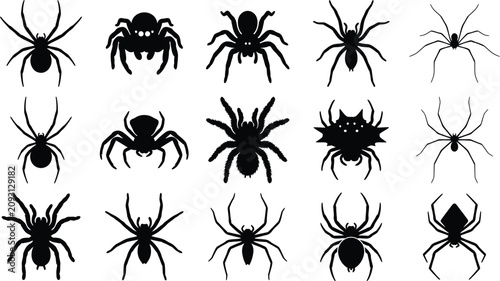 Fotografie Halloween spider silhouettes collection diverse arachnid designs for spooky seas