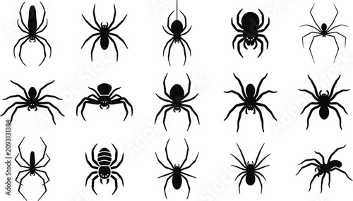 Cuadro en lienzo Halloween spider silhouettes collection diverse arachnid designs for spooky seas