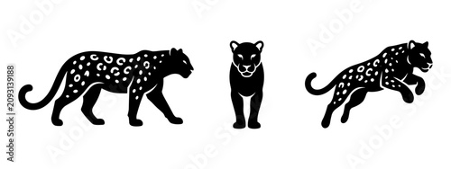 Canvas Print Leopard vector icon set