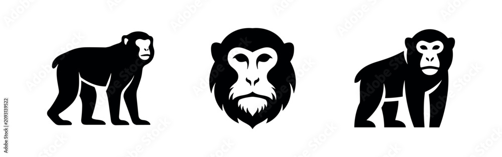 Fototapeta premium Monkey icon set. Black vector glyphs of a macaque or ape, a primate animal in different poses.