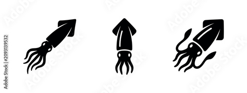 Foto Squid icon set