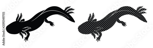 Konstfotografi Black Axolotl Vector Silhouette, a pair of stylized amphibian creatures, dark sa