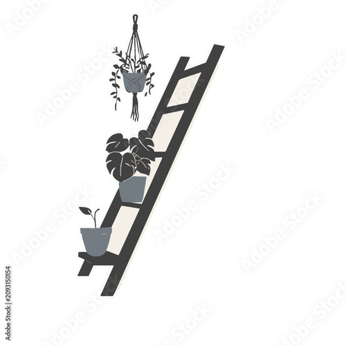 Ladder with potted plants