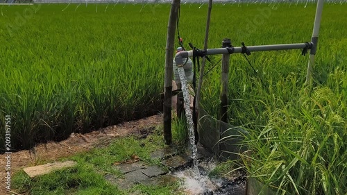 Irrigation of rice fields using pump wells with the technique of pumping water from the ground to flow into the rice fields. The pumping station where water is pumped from a irrigation canal system.
