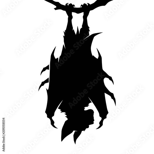 Fotografi Black silhouette, insect icon, bug illustration, vector graphic isolated on Whit