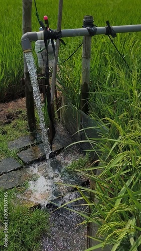Irrigation of rice fields using pump wells with the technique of pumping water from the ground to flow into the rice fields. The pumping station where water is pumped from a irrigation canal system.
