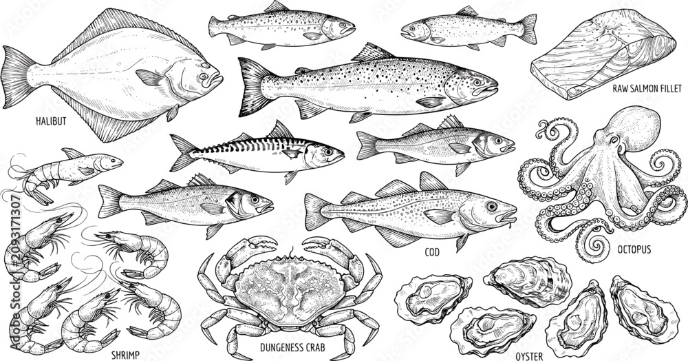 Obraz premium Fresh raw seafood and fish collection set with salmon halibut octopus crab shrimp and oyster vintage engraving sketch vector illustration