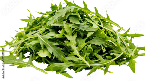 Photos Fresh green arugula leaves pile