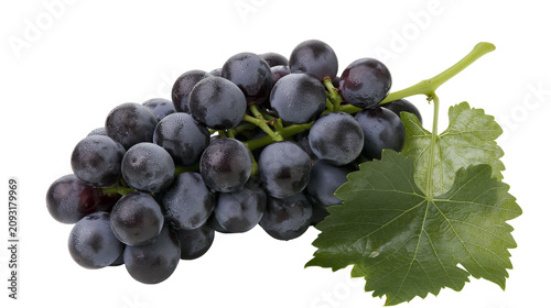 Schilderij op canvas Dark purple grapes with green leaf and stem
