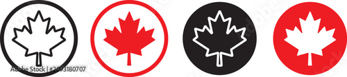 Картината върху платно Maple leaf icon