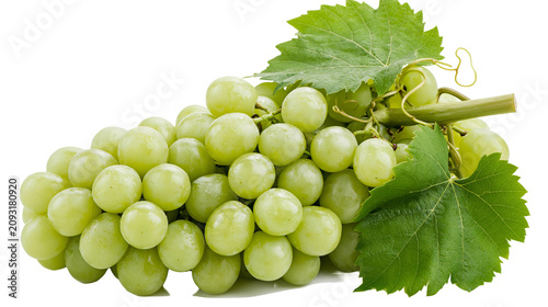 Tableau sur toile Fresh green grapes with leaves on white