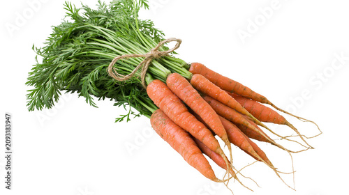 Schilderij op canvas Bunch of fresh organic carrots with green leafy tops tied with twine