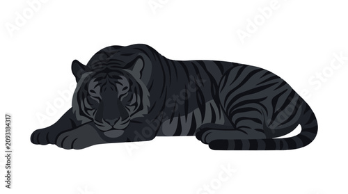 Relaxing Black Tiger Cub Resting on the Ground with Calm Expression.