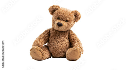 Canvastavla Fluffy brown teddy bear sitting