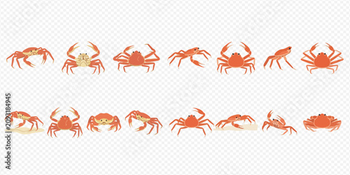 Photos Set of various red crabs in different poses, isolated on transparent background, showcasing marine life crustaceans