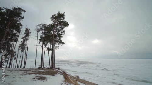 Tall pine trees stand on a snowy coastal bluff beside a frozen sea under thick winter clouds as soft light breaks through the overcast sky