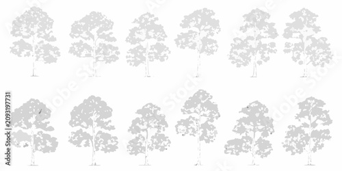 фотографія collection of ten hand drawn tree elevation sketches on white background silhoue