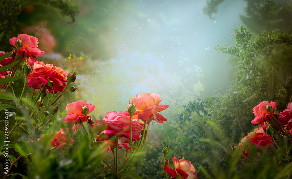 Obraz premium Fantasy rose flowers in magical blooming garden in fairy tale elf forest, fairytale glade background, elven magic wood with shining glowing rays, tranquil landscape scene.