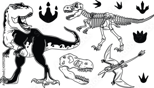 Photos Dinosaurs silhouette vector set
