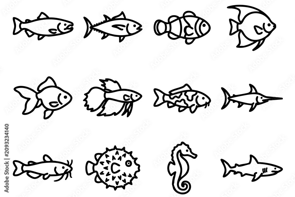 Obraz premium Various Fish Species Line Drawings.