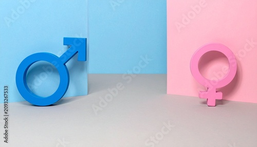 Three Dimensional Male And Female Gender Symbols Placed Side By Side Against Blue And Pink Split Paper Backgrounds