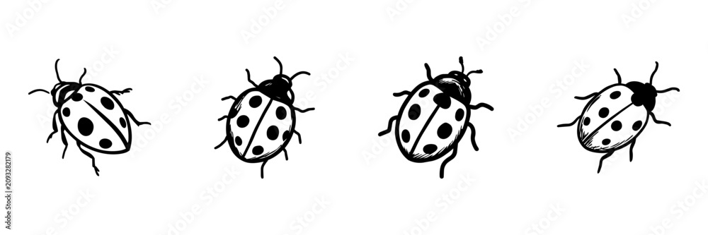 Fototapeta premium Ladybug In Hand Drawn Style Set. Insect Doodle Sketch Collection. Nature And Wildlife Decorative Elements. Isolated Vector Illustration