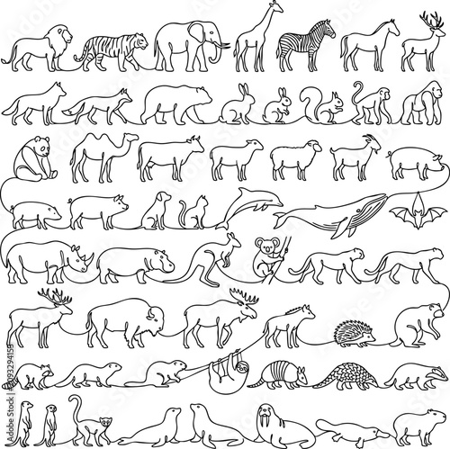 Photography Diverse wild animals line art collection set of animal species with wildlife ele