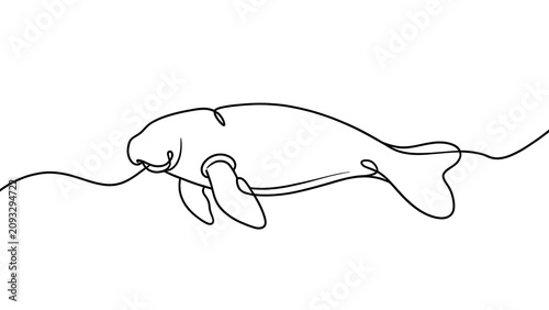 Minimalist manatee line drawing white background.
