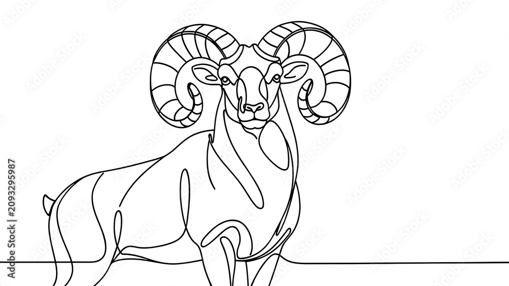 Fototapeta premium Minimalist ram drawing on white background.