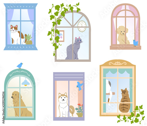 窓辺で外を眺めるイヌとネコのイラスト