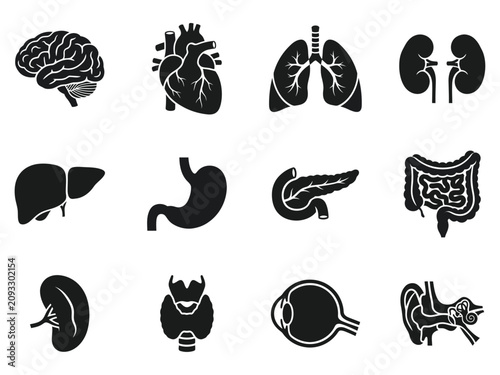 Medical Organ Silhouette Icon Set