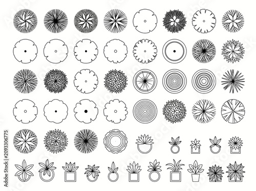 Vector Landscape Architecture Symbols and Tree Plan View Icons Set for Garden Design