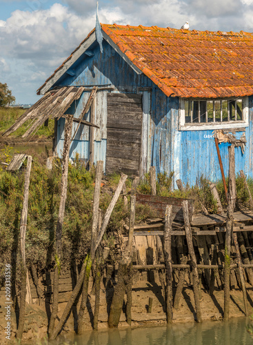 Cabane de pêcheur et quai sommaire sur un canal à Saint-Pierre-d'Oléron, Charente-Maritime, France