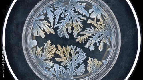 Crystalline formations growing o premium quality premium quality premium quality modern style