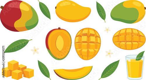 Obraz na plátně Mango Fruit Vector Collection with Whole Sliced Diced Cross Cut Mango Juice Trop