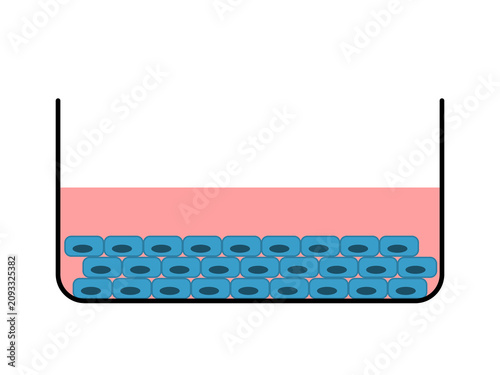 Vector illustration of cells on a petri dish.