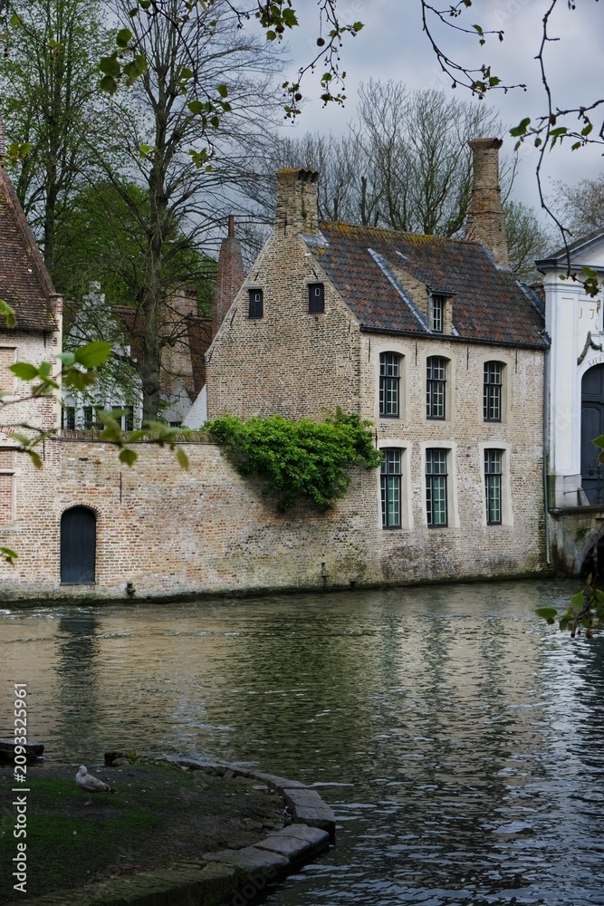 Fototapeta premium Canal in Bruges Belgium
