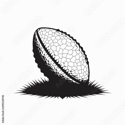 Φωτογραφία Football Resting on a Patch of Grass with a Realistic Texture and Silhouette Des