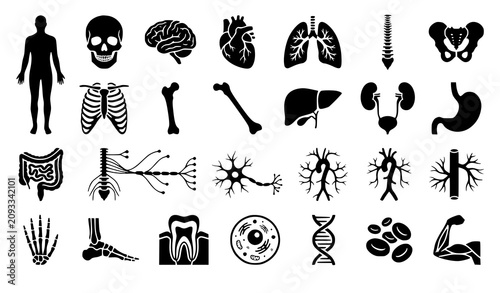 Black Medical Anatomy Icon Collection with Human Organs and Skeleton Symbols