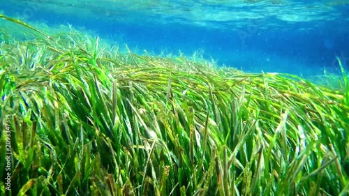 Ocean blue underwater with sunrays, Underwater Sea Deep Water Abstract Sunshine, sea wave , clean waters in summer time, Natural underwater seascape, sand on ocean floor and water surface sunlight.