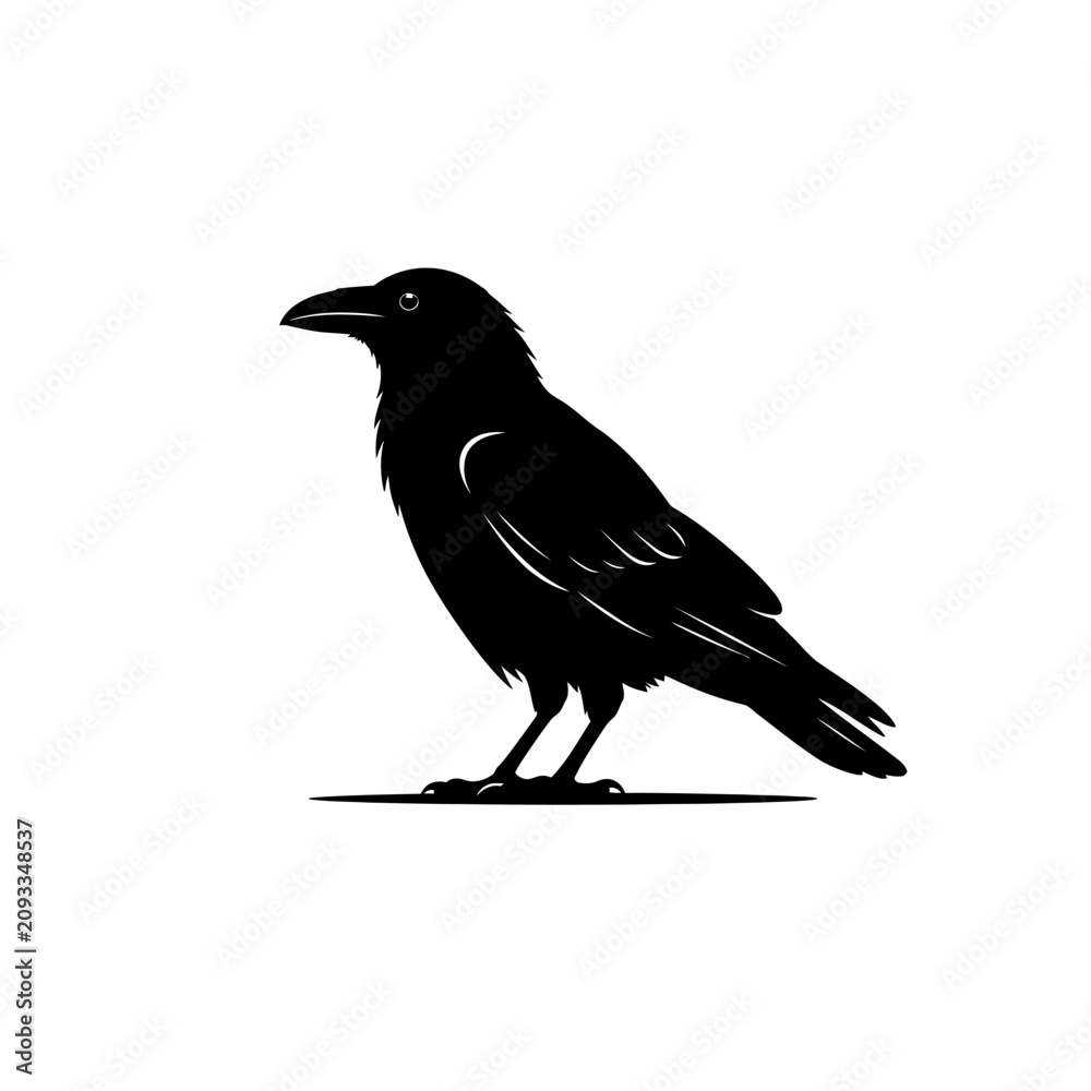 Fototapeta premium Black crow silhouette, bird icon, raven shape, animal illustration