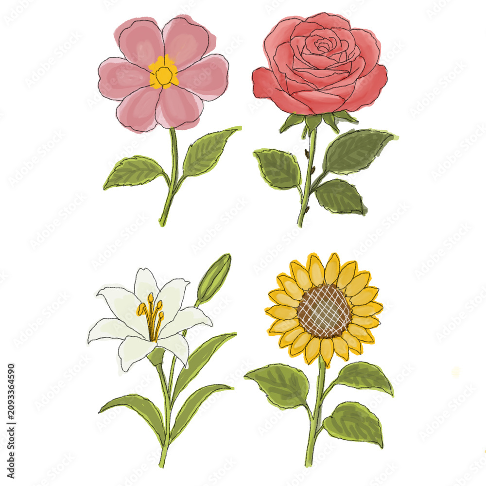 Obraz premium set of flowers