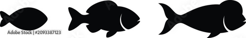 Fotografie Set of black fish silhouettes showing growth stages or different species isolate