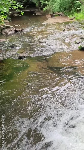 Water cascades over a small woodland waterfall into a gentle stream as the camera slowly pans in super slow motion, revealing every ripple, splash, and the tranquil beauty of the forest.